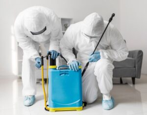 Understanding Regulatory Standards for Mold Remediation