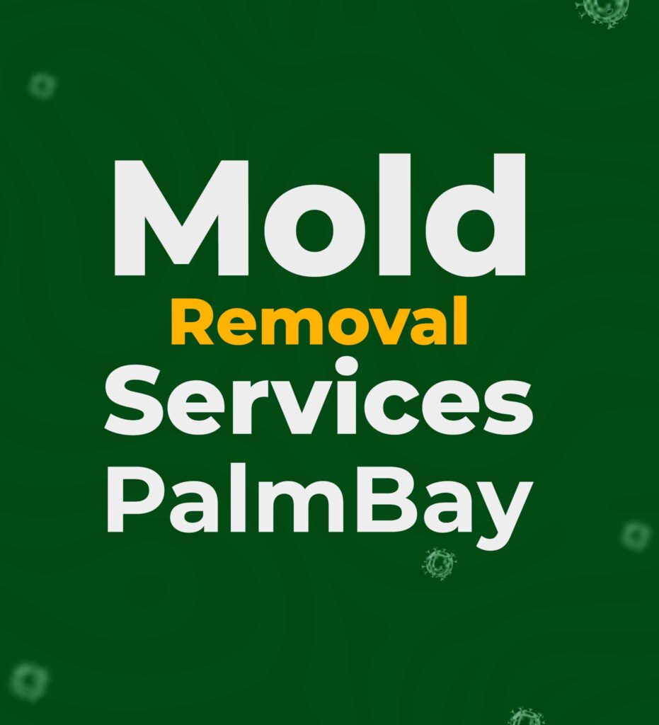 Palm bay mold removal services