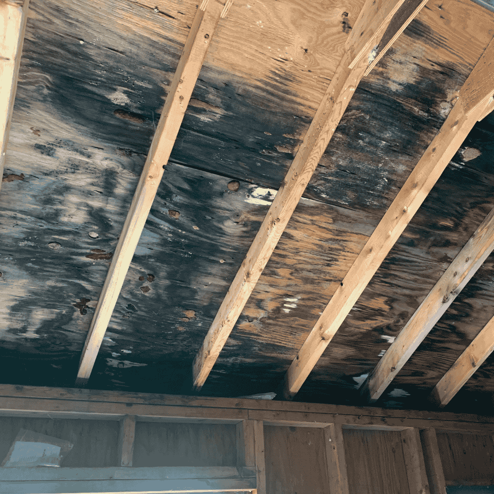 This image has an empty alt attribute; its file name is image-12.png